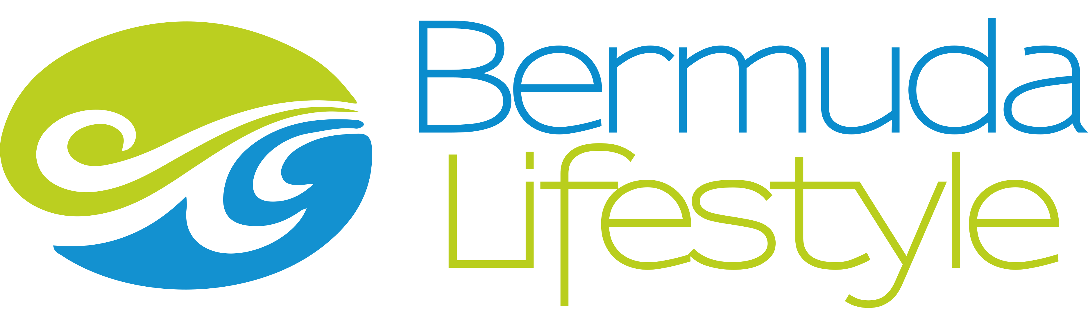 Bermuda Lifestyle logo